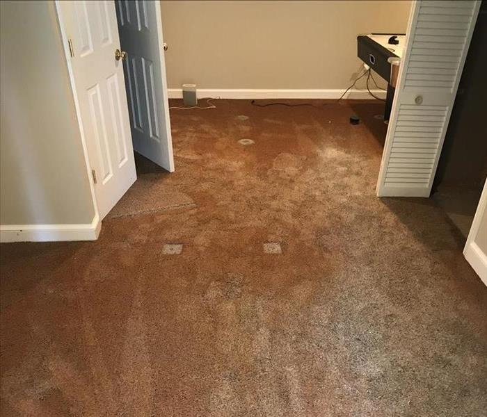 Water damage to carpet